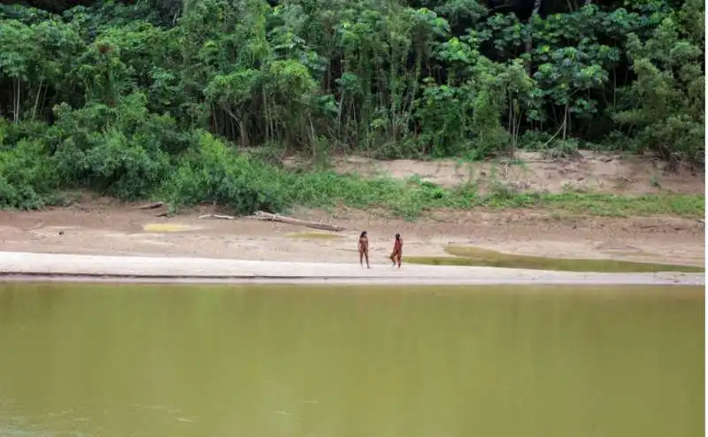 tribu mashco piro in amazzonia   peru