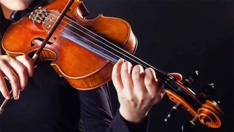 violino 