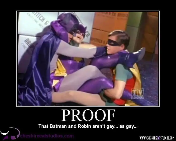 batman robin gay proof 