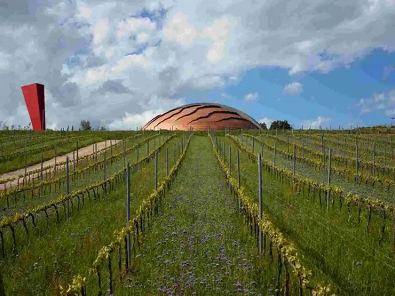 IL CARAPACE DI ARNALDO POMODORO PER LE CANTINE LUNELLI 