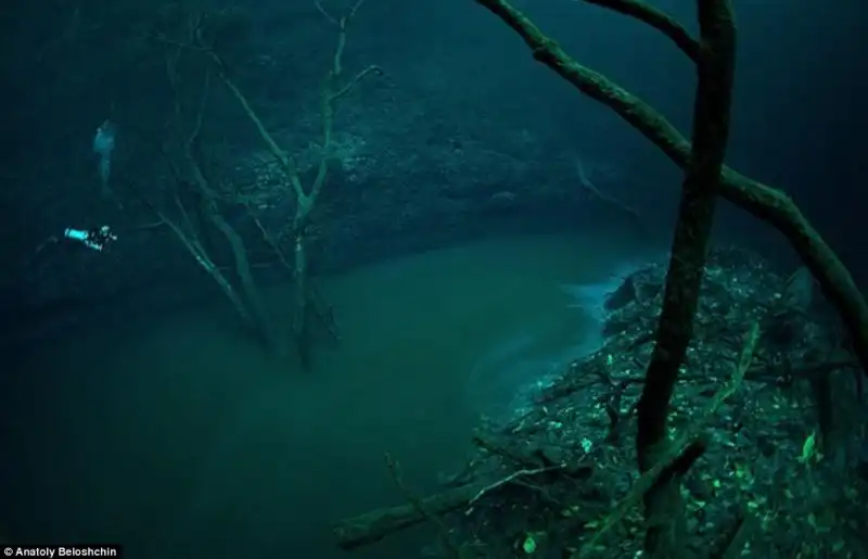 IL FIUME SOTTO IL MARE CENOTE ANGELITA 