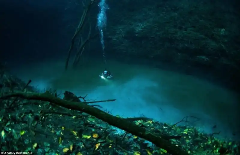 IL FIUME SOTTO IL MARE CENOTE ANGELITA 