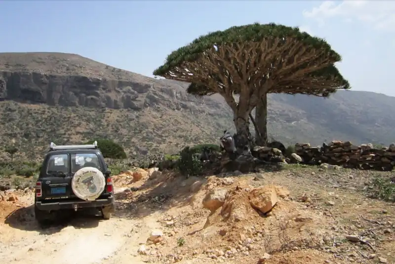 a socotra esistono solo due strade