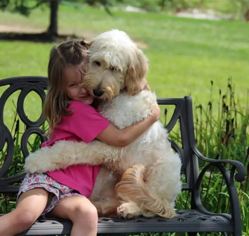 abbracci tra cani e umani 7