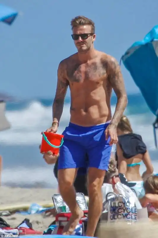 beckham a malibu