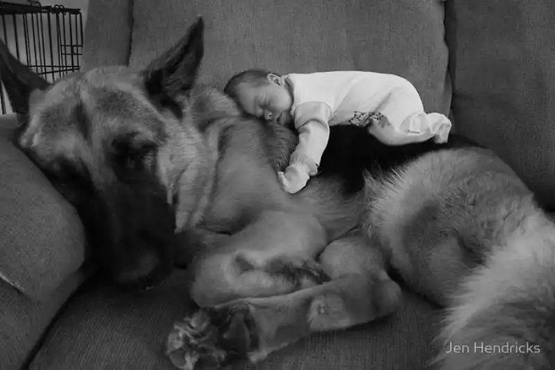 cagnoloni e bambini 1