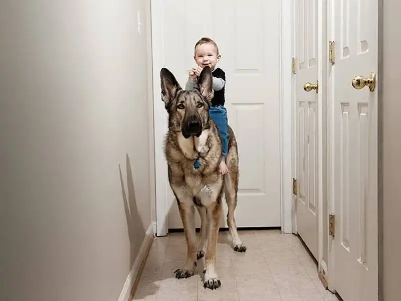 cagnoloni e bambini 12