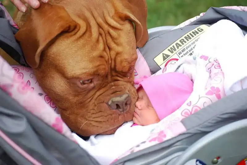 cagnoloni e bambini 13