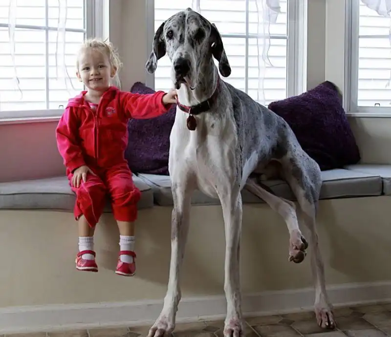 cagnoloni e bambini 16