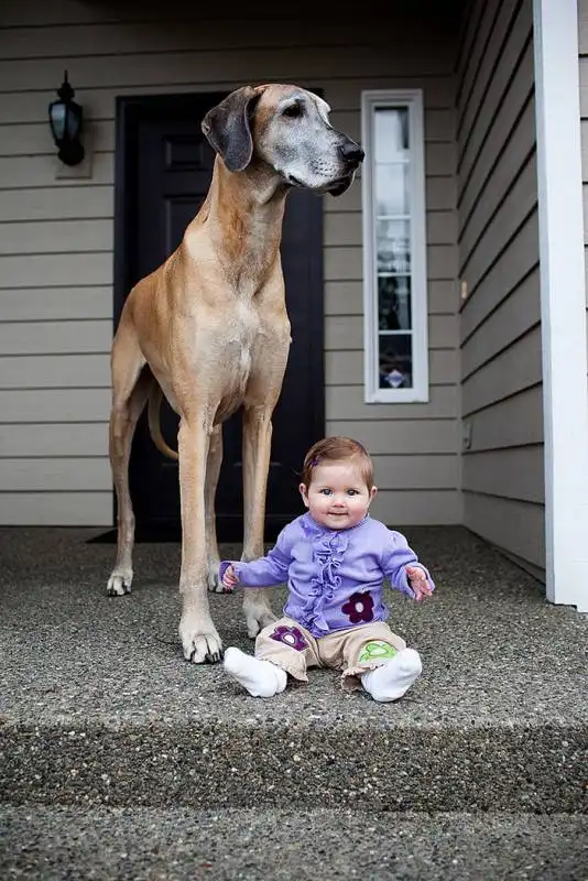 cagnoloni e bambini 22