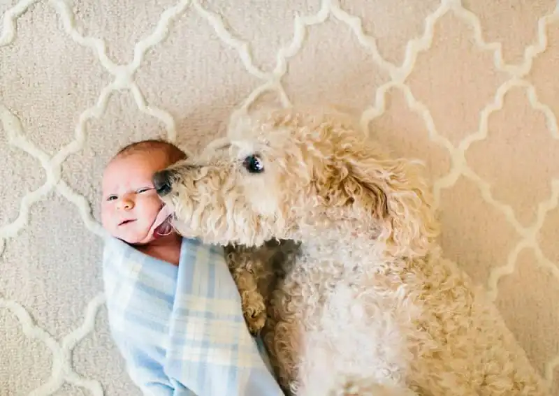 cagnoloni e bambini 7