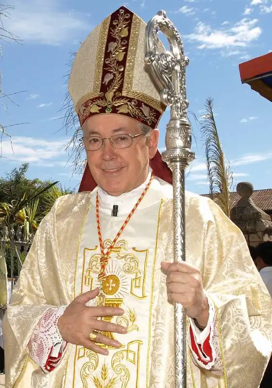 Cardinal cipriani