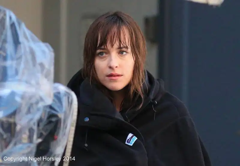 dakota johnson 2014