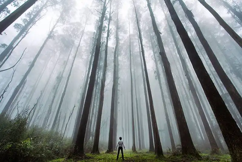 grande natura piccolo uomo   i piu' bei paesaggi del mondo  2