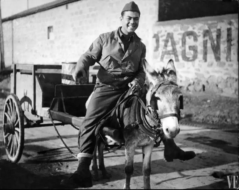 phil stern a dorso di mulo a comiso , sicilia luglio 1943