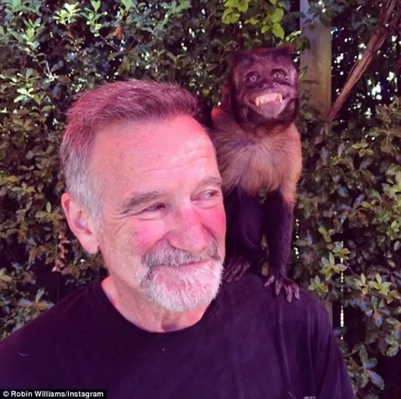 robin williams 11