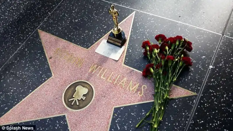 robin williams 6