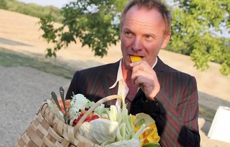 sting in campagna nel chianti in toscana