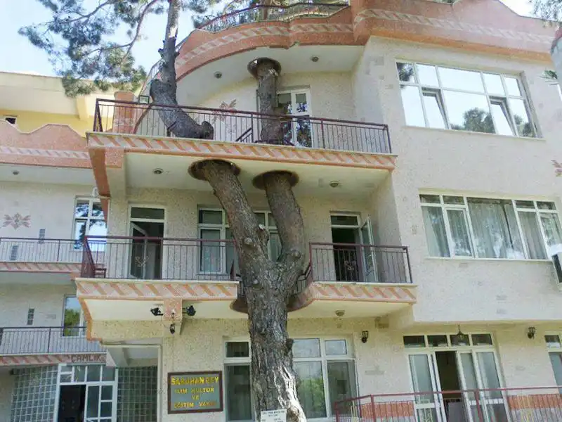 casa con albero