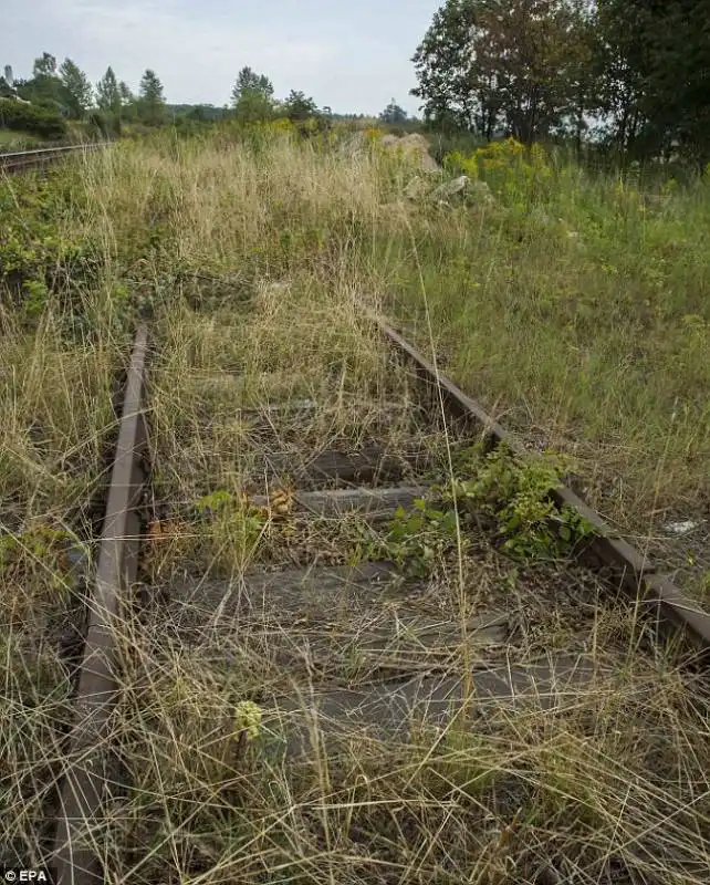 ferrovia wroclaw walbrzych