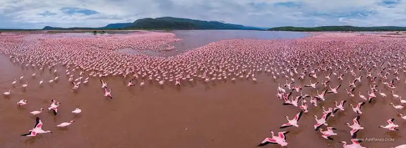 lago bagoria in kenya