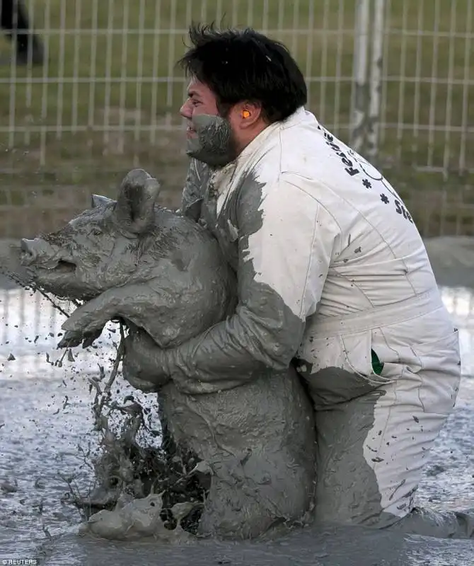 pig race   canada  10