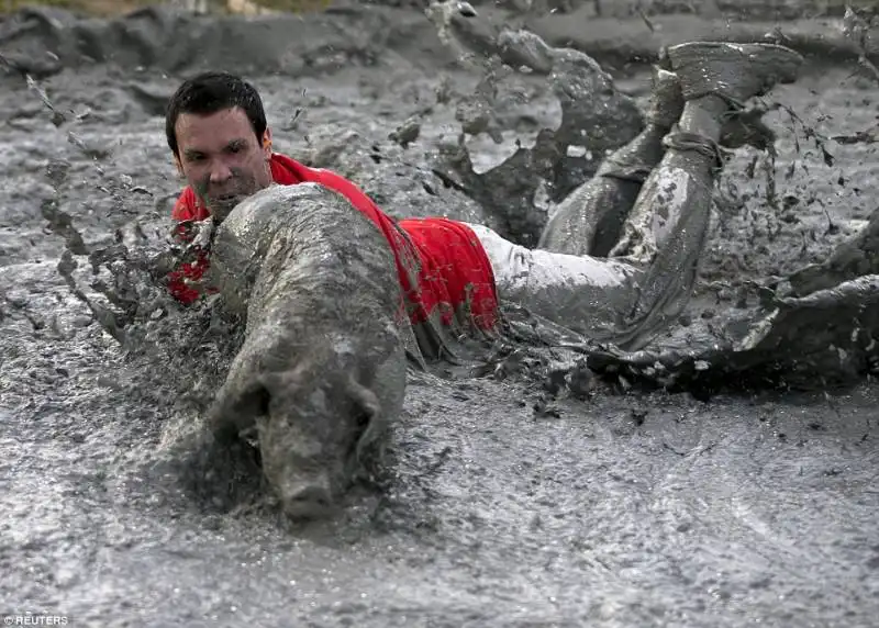 pig race   canada  12