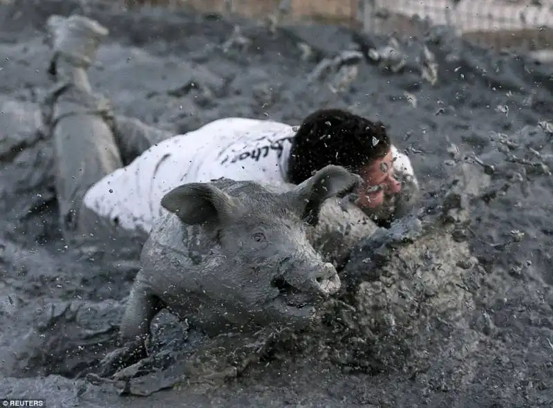 pig race   canada  7