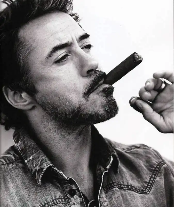 robert downey jr