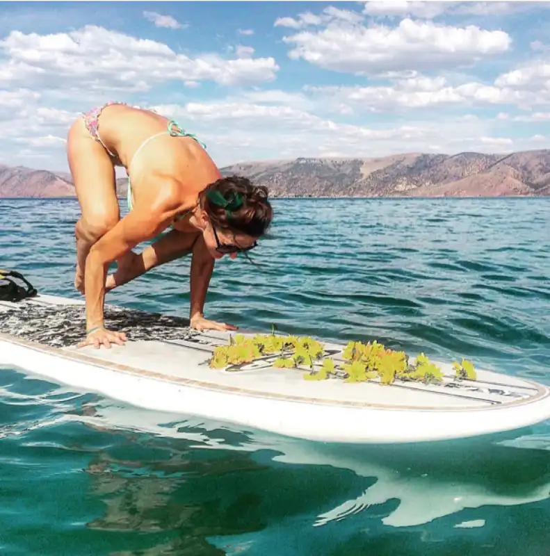 yoga sul surf