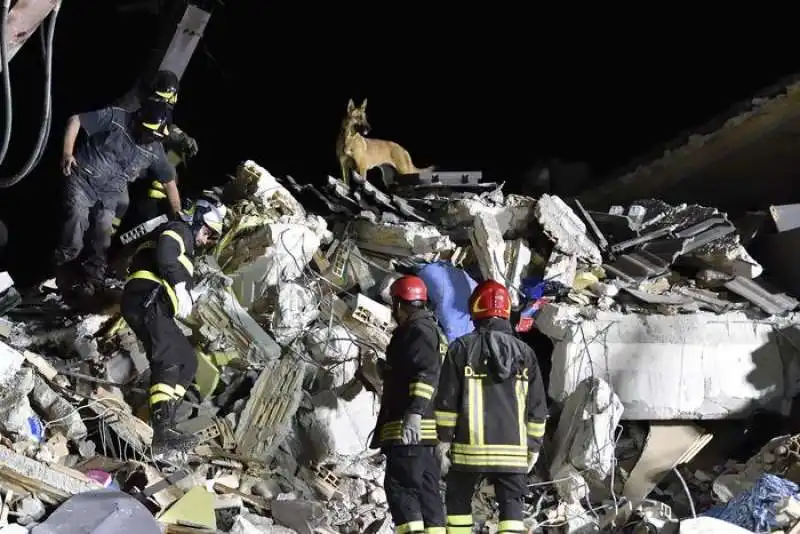 cani salvataggio amatrice 2