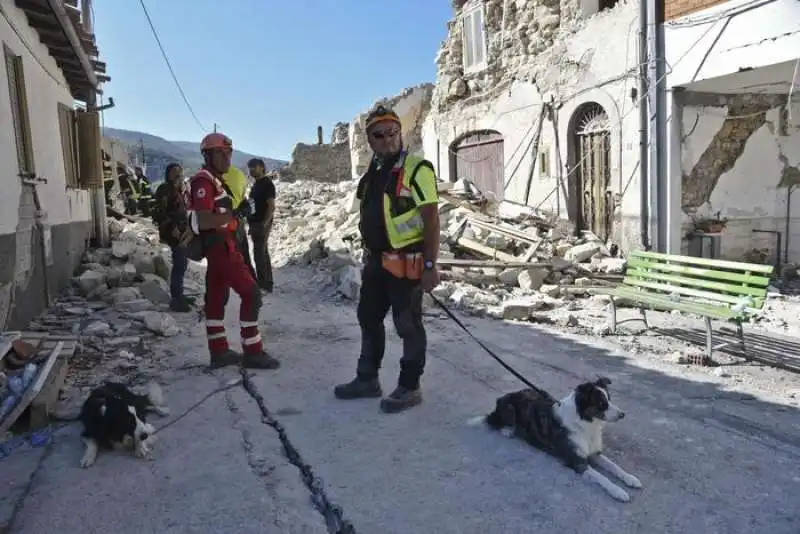 cani salvataggio amatrice 4