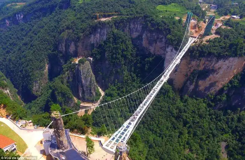 il ponte cinese sulla foresta di avatar