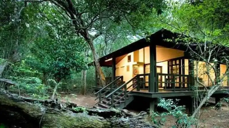 phinda forest lodge in sudafrica