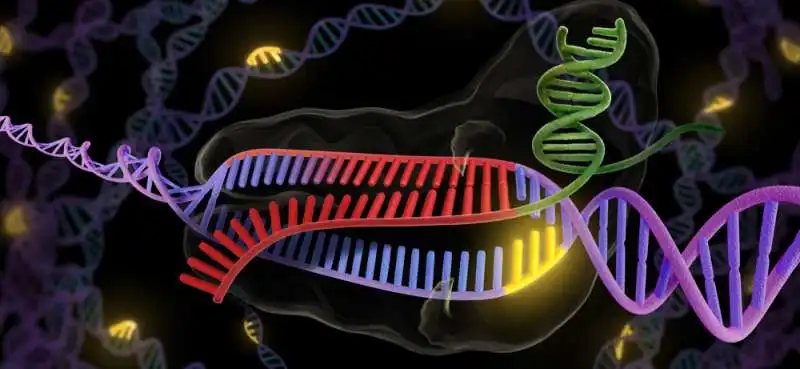 TECNICA CRISPR 