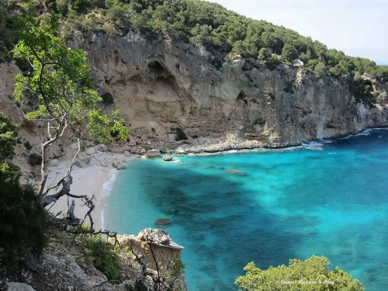  CALA  BIRIOLA 3