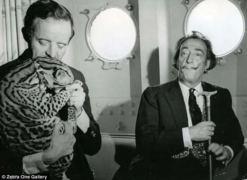 dali 1967