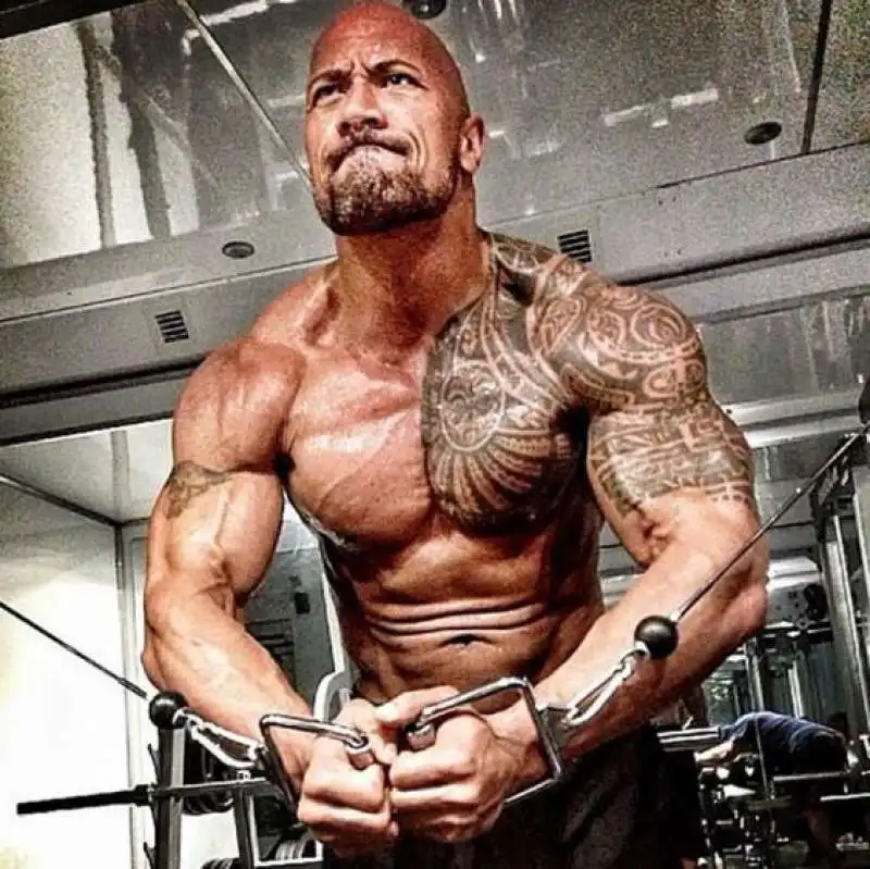 dwayne the rock johnson 