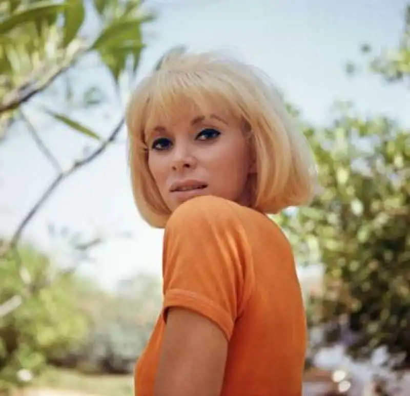 Mireille Darc 