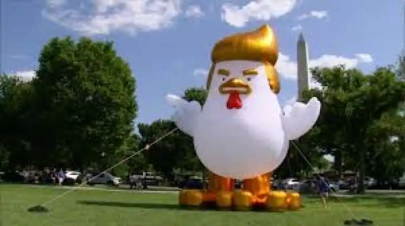 POLLO TRUMP 2