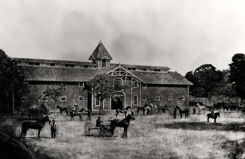 stanford university quando era facolta di agraria