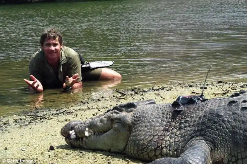 steve irwin