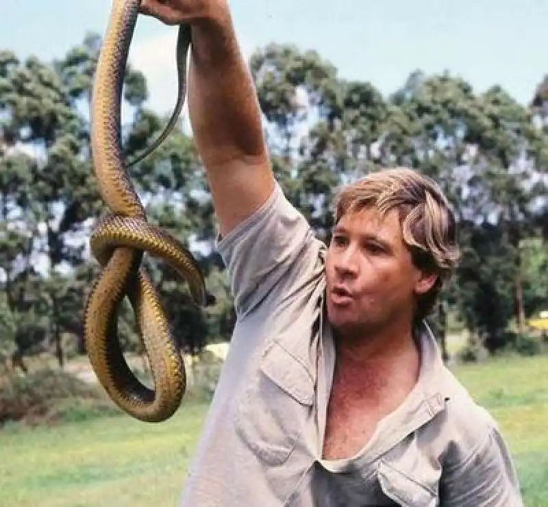 steve irwin serpente 