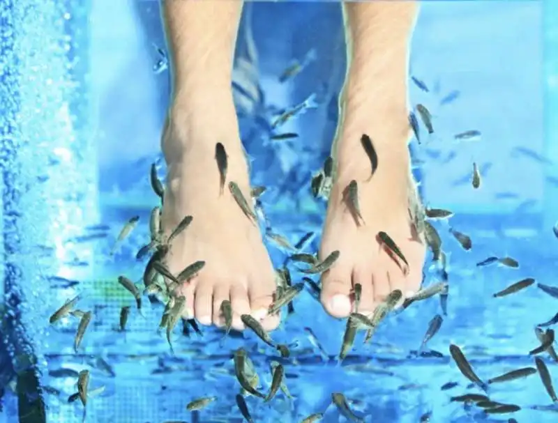 fish pedicure 5