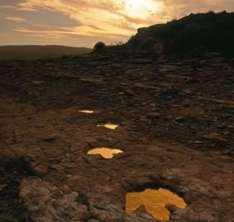 orme di dinosauro in argentina