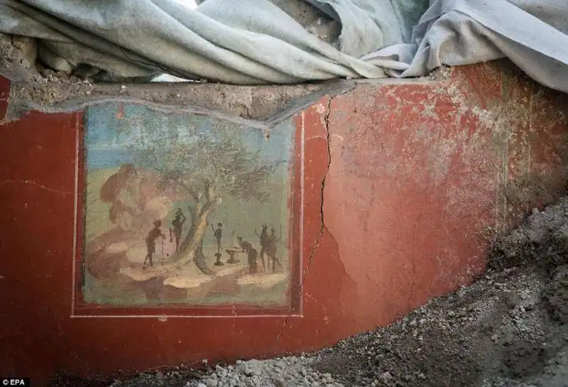 pompei casa di giove 15