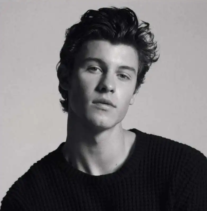 shawn mendes 4