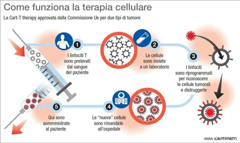 terapia car t 7