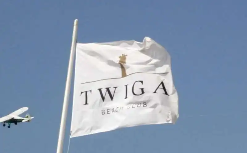 twiga