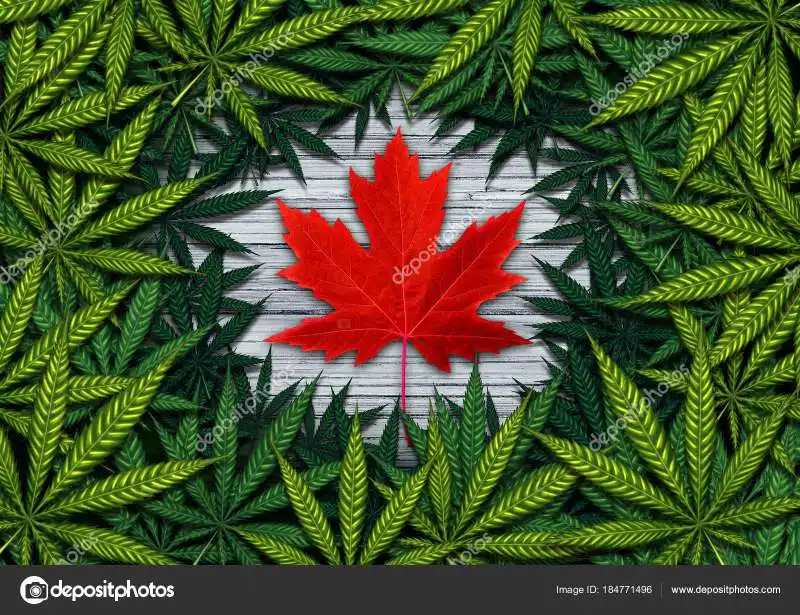 cannabis in canada 9